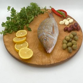 تصویر ماهی شعری تازه و صید روز سایز متوسط ۱ کیلوگرم 