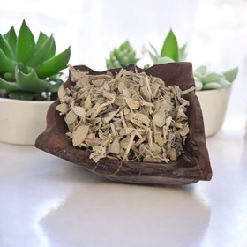 تصویر گیاه پولک 