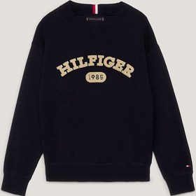 تصویر بافت و پلیور پسرانه برند تامی هیلفیگر Tommy Hilfiger اصل 5003082877 