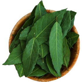 تصویر برگ انبه 200 گرم 