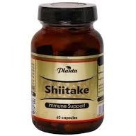 تصویر شیتاکه 