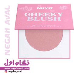 تصویر رژگونه CHEEKY BLUSH میو شماره 01 