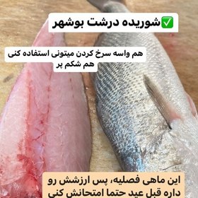 تصویر پک 5کیلویی ماهی شوریده 