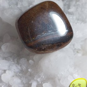 تصویر تامبل چشم ببر 