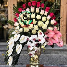 تصویر جام گل دالیا 