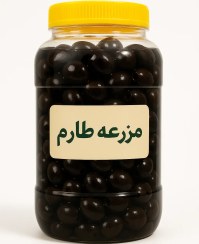 تصویر زیتون سیاه با هسته طارم 100% اورگانیک 