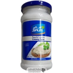 تصویر پنیر سالم ۲۳۰ گرمی محصول امارات Creamy taste Cheese