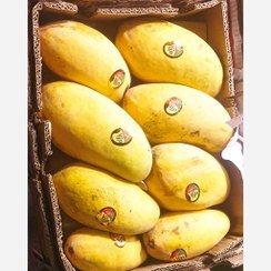تصویر انبه پاکستانی (فروشگاه مچ ) (پس کرایه) 