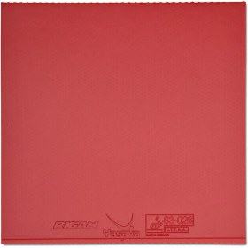 تصویر رویه Rigan یاساکا 