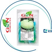 تصویر بذر هندوانه چارلستون چیتا 