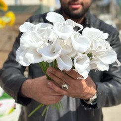 تصویر شاخه گل شیپوری سفید مصنوعی ۱۲ عددی 