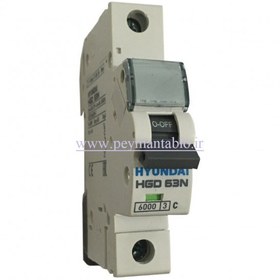 تصویر فیوز مینیاتوری تک پل 6 آمپر هیوندای HYUNDAI Miniature Circuit Breaker HGD