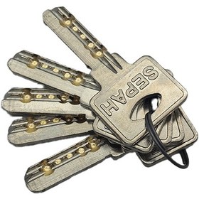 تصویر قفل حیاطی برند سپه 5 کلید 