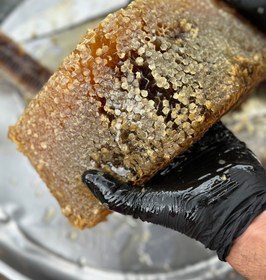 تصویر عسل با موم کوهی 