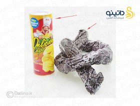 تصویر ابزار شوخی چیپس شوخی جهنده مدل 18836 