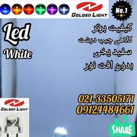 تصویر ال ای دی کلاهی سفید آفتابی دو چیپ ( چیپ درشت) گلدن لایت Golden Light Led 