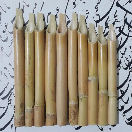 خرید و قیمت قلم نی مخصوص خوشنویسی بسته ده تایی با تراش استاندارد | ترب
