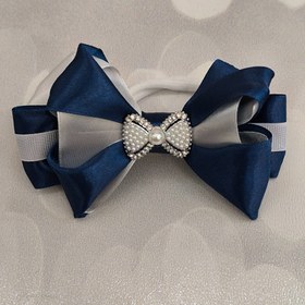 تصویر کش دریا 