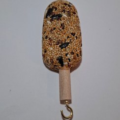 تصویر بستنی کوتوله و عروس 