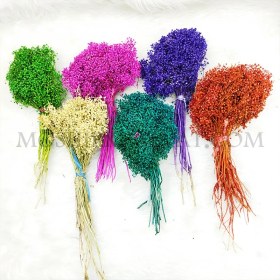 تصویر گل خشک مدل عدسی 