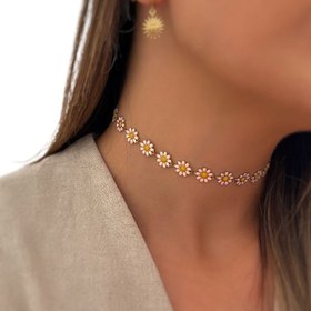 تصویر چوکر بابونه 