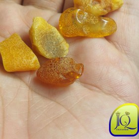 تصویر راف کهربای بالتیک 