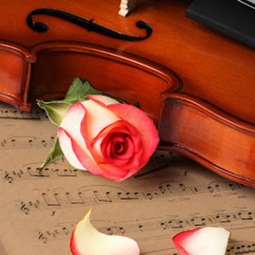 تصویر دفتر نت موسیقی مستر راد مدل آوا کد 1603 Music 