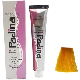 تصویر واریاسیون پادینا ( E ) 