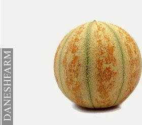 تصویر ملون میوه 