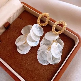 تصویر صدف‌ چیپسی دو عددی 