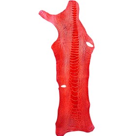 تصویر چرم ساق شتر مرغ OL035 سورت B 