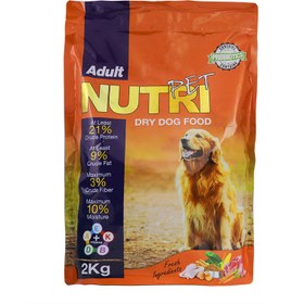 تصویر غذای خشک سگ بالغ نوتری پت 21 درصد پروتئین Nutripet Premium 21 Percent Adult Dog Dry Food