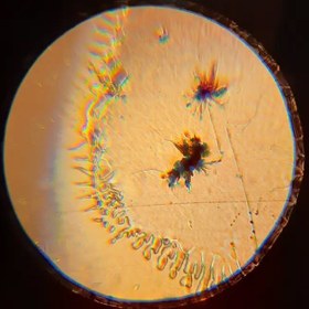 تصویر میکروسکوپ دانش آموزی فندل fandel microscope