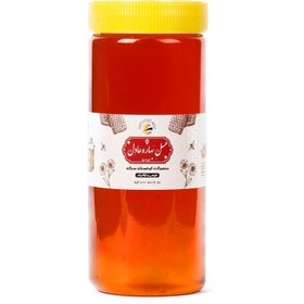 تصویر یک کیلو شهد عسل درمانی اردبیل 