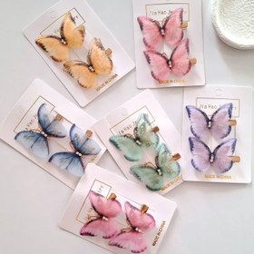 تصویر گلسر پروانه ای 