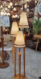 تصویر کنارسالنی 