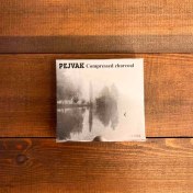 تصویر ذغال فشرده پژواک (بسته 12 عددی) 