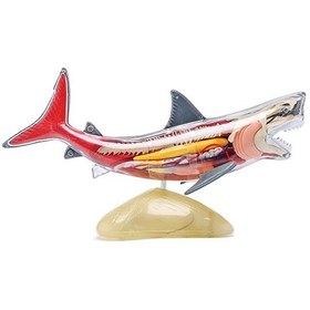 تصویر مولاژ کوسه ماهی 