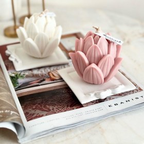 تصویر سینی پاپیون 