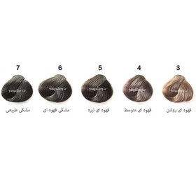تصویر رنگ مو مردانه های اسپیدی شماره ۳ قهوه‌ای روشن حجم ۱۲۰ میل 