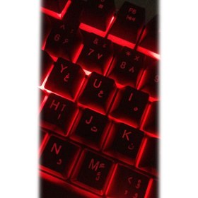 تصویر کیبورد تسکو مدل TK 8029L با حروف فارسی TSCO TK 8029L Keyboard With Persian Letters