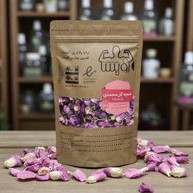 تصویر غنچه گل محمدی کیفیت عالی 