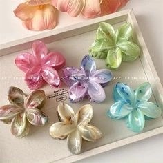 تصویر کلیپس پلومریا طرح گل وارداتی سایز کوچک در رنگبندی متنوع HAIR ACCESSORY- PLUMERIA CLIP