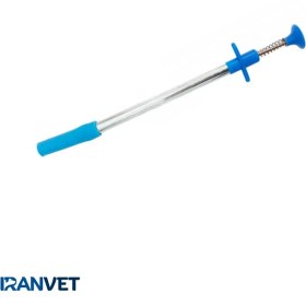 تصویر قرص خوران گوسفندی 