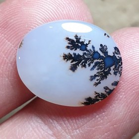 تصویر سنگ شجر قائن 