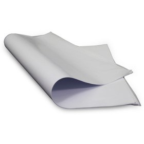 تصویر کاغذ پوستی ساده - ۷۰×۵۰ در ۵سایز قابل سفارش است