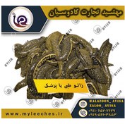 تصویر فروش ۱۰۰ عددی زالو طبی 