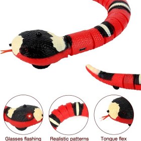 تصویر اسباب بازی مار متحرک شارژی گربه + فیلم spinning snake cat toy