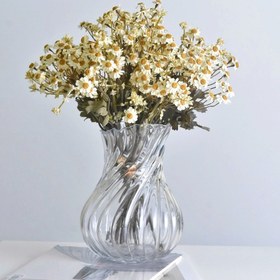 تصویر گل بابونه 