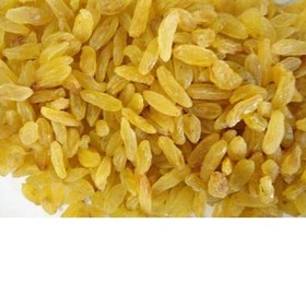 تصویر کشمش قلمی زرد ۲۵۰ گرم 